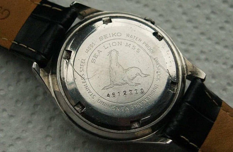 hình ảnh hải cẩu đằng sau mặt đồng hồ Seiko cổ điển - ảnh 10