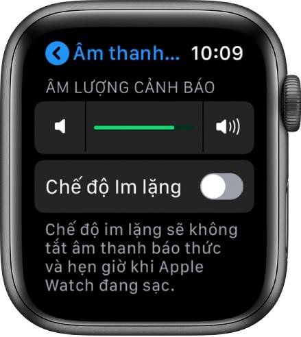 Cách kích hoạt, sử dụng đồng hồ Apple Watch khi mới mua về - Ảnh: 28