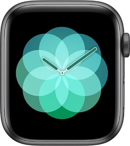 Cách kích hoạt, sử dụng đồng hồ Apple Watch khi mới mua về - Ảnh: 33
