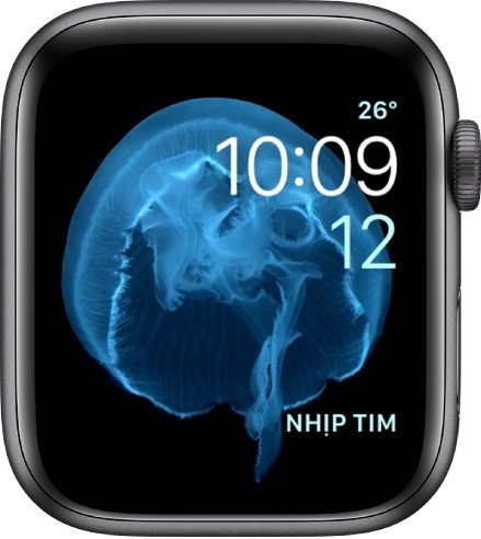 Cách kích hoạt, sử dụng đồng hồ Apple Watch khi mới mua về - Ảnh: 44