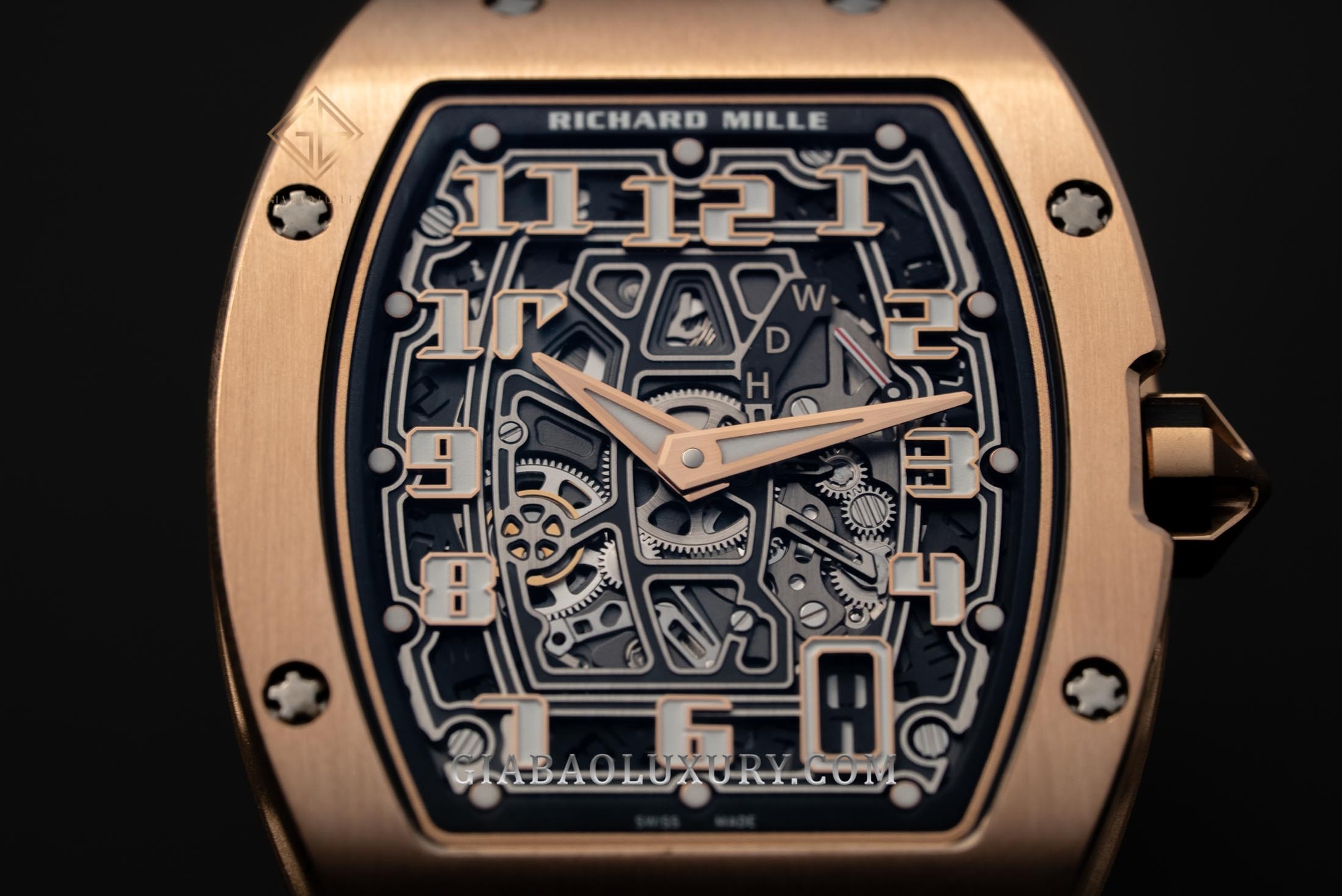 Review Đồng Hồ Richard Mille RM67-01