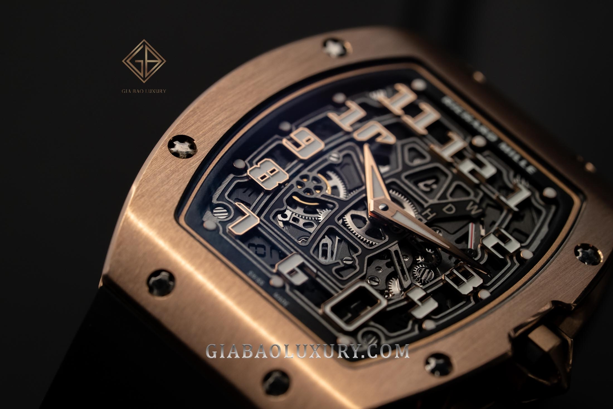 Review Đồng Hồ Richard Mille RM67-01