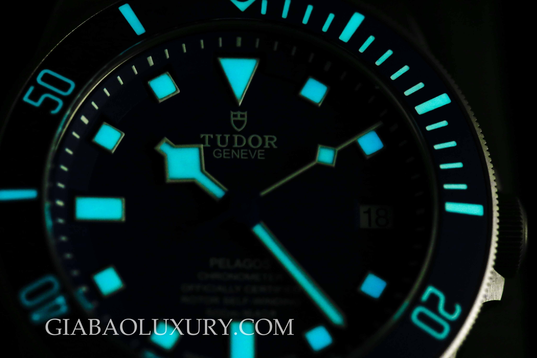 Đồng hồ Tudor